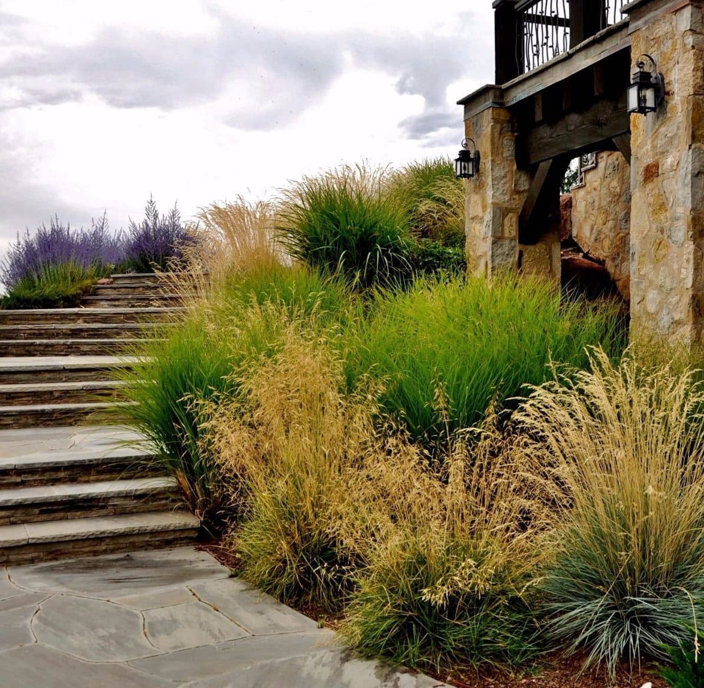 Landscaped property with efficient irrigation system in Denver CO