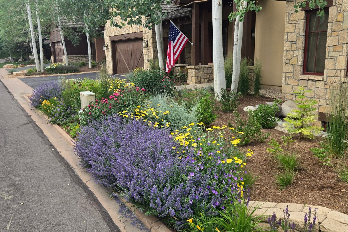 residential landscape with irrigation management results